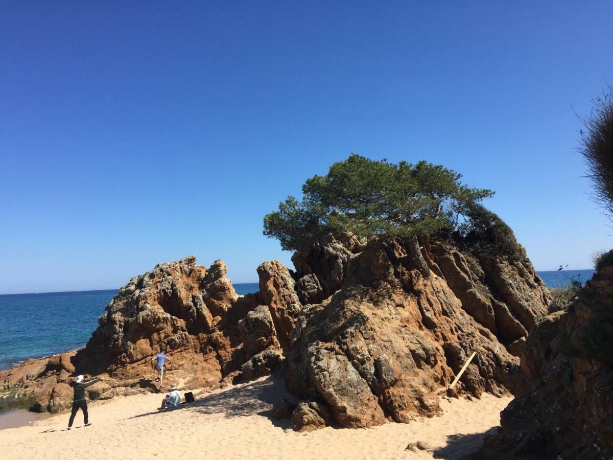 Apartamentos Jardin Turquesa Lloret de Mar Buitenkant foto